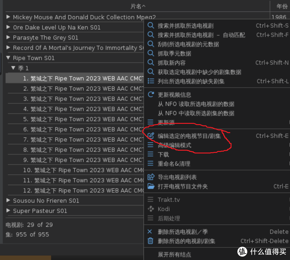 编辑功能主要是为了刮原盘，正常剧集是可以识别出季/集的