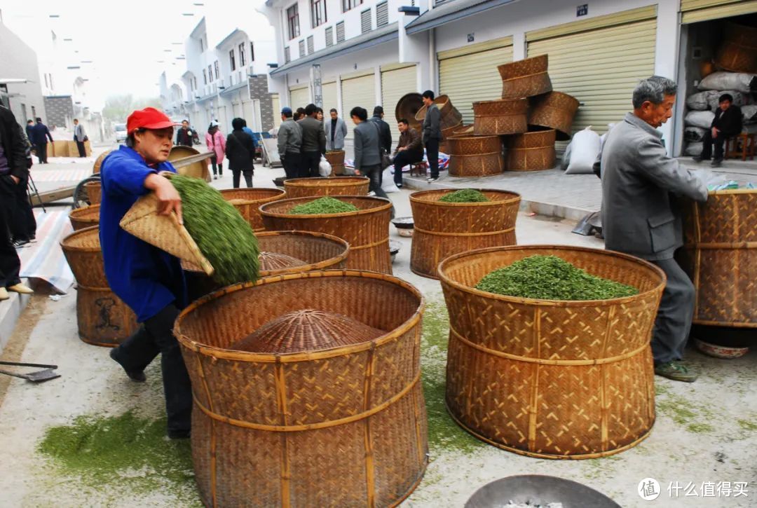 春游江淮 请来池州 | 安徽春茶节暨第21届安徽·石台茶文化节明天启动！