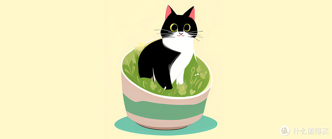 猫砂的重要性：为什么养猫不能缺少它？