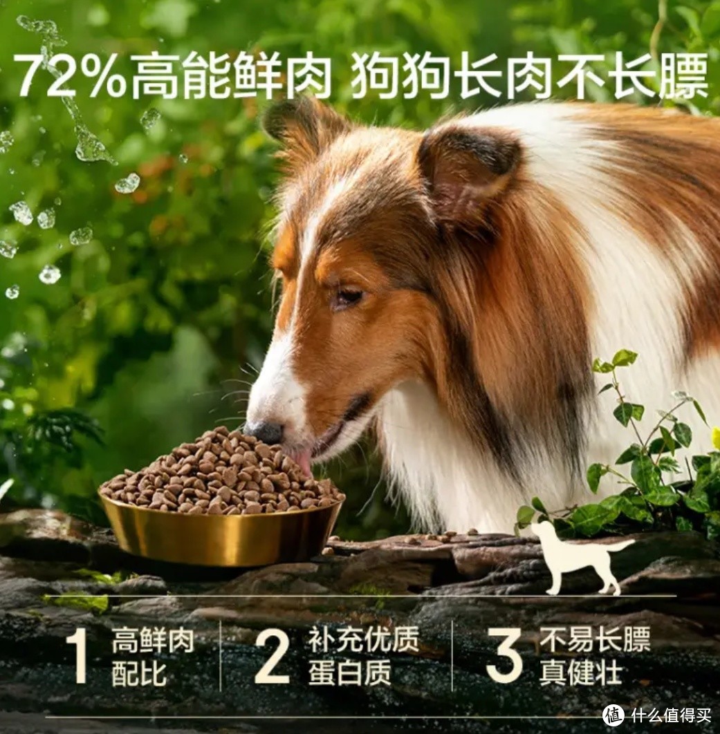 啥都买的京东京造也卖起狗粮了，194元到手10kg
