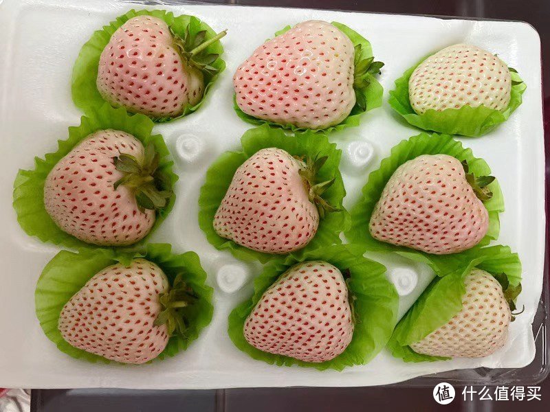 明星都在吃的"淡雪草莓"，究竟是什么味道？