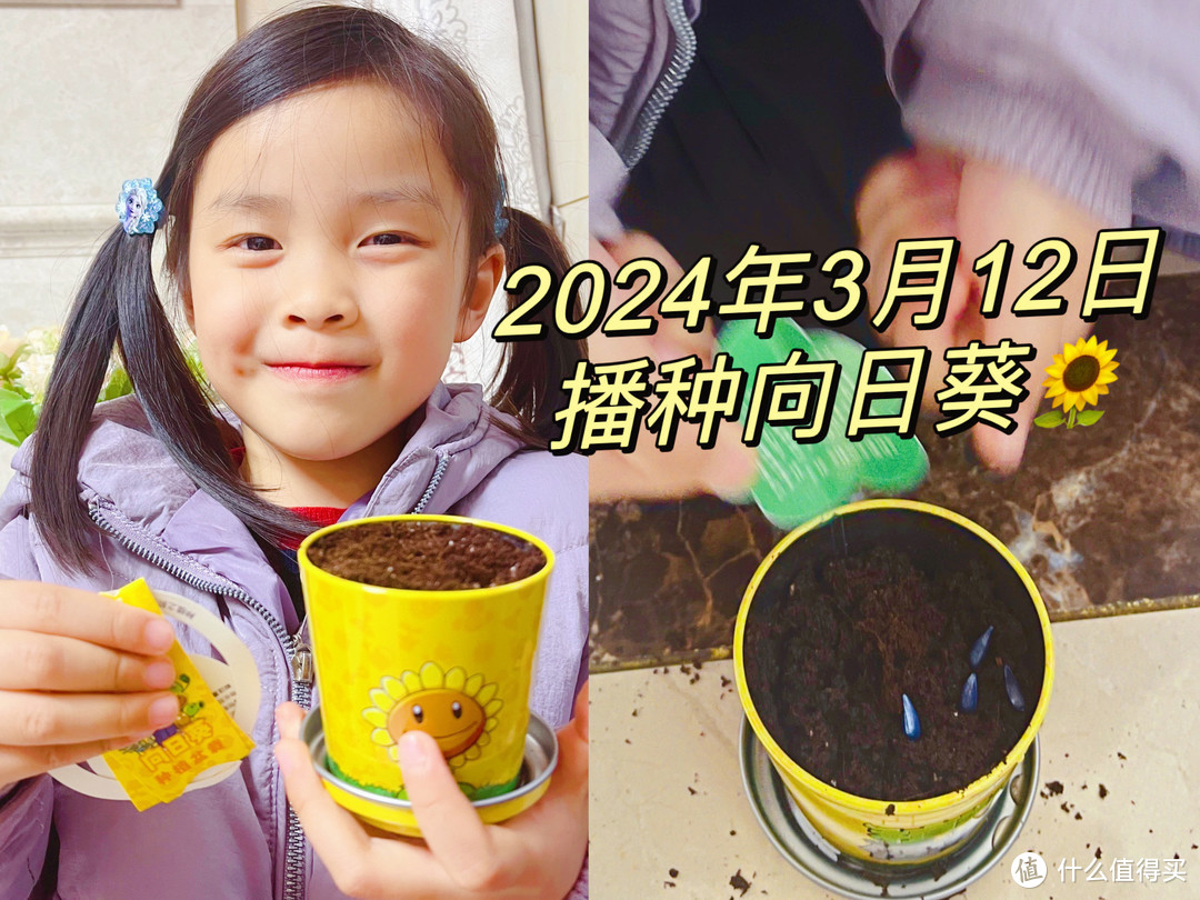 🌱实践出真知｜幼儿园里作业多，关于种子发芽这件事，历时一个月的作业献给大家，文末有欧气，快来吸