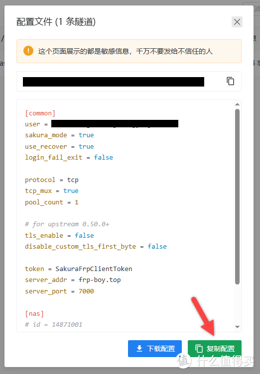 UNRAID篇!FRP内网穿透,远程访问NAS