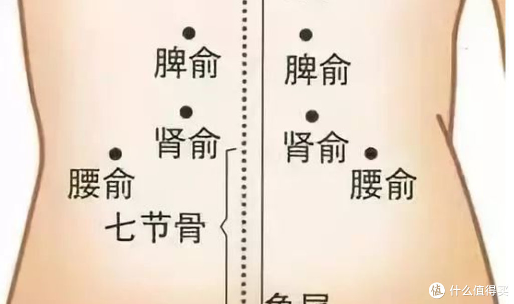 专业测评师良心实测！9大畅销腰部按摩器推荐：倍轻松、未野、凉介、蓝宝、飞利浦等护腰带按摩仪测评！