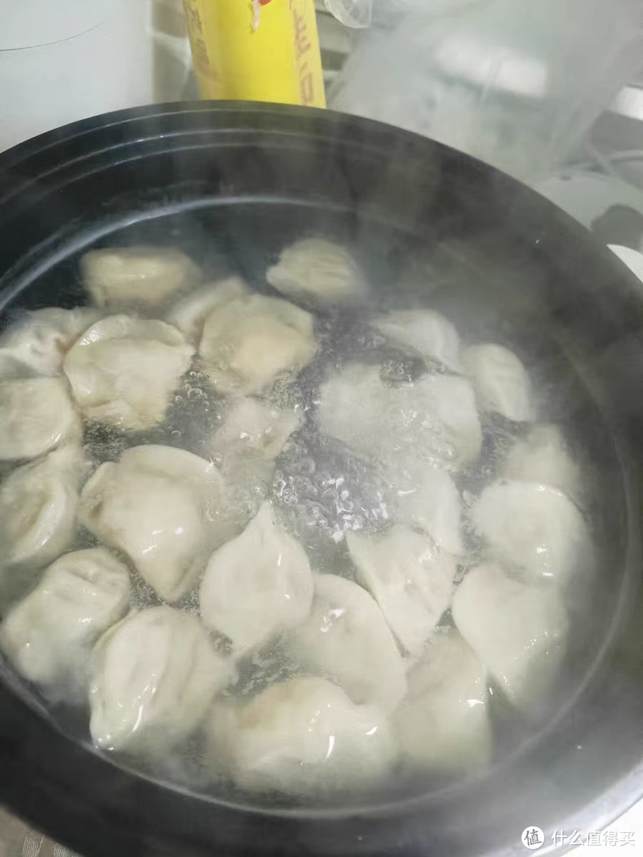 海霸王猪肉水饺整体测评，附制作美食攻略