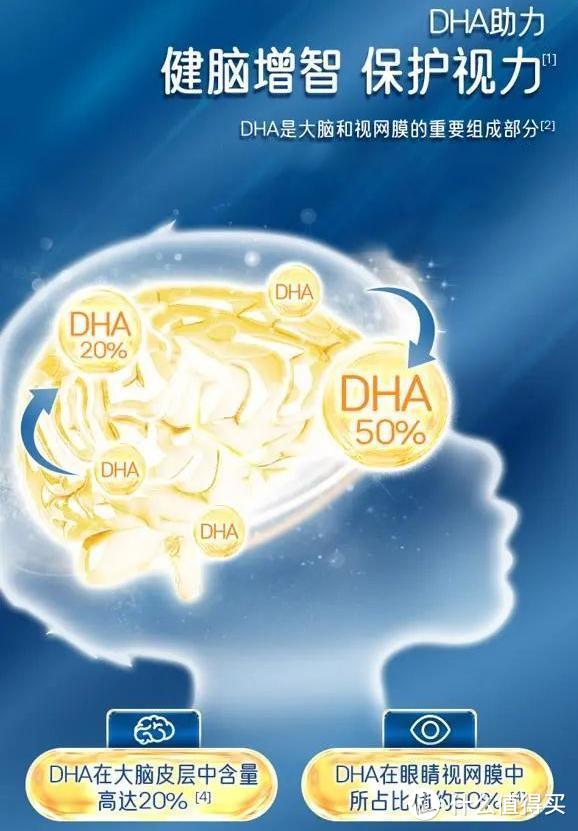 DHA成分对视网膜的重要性