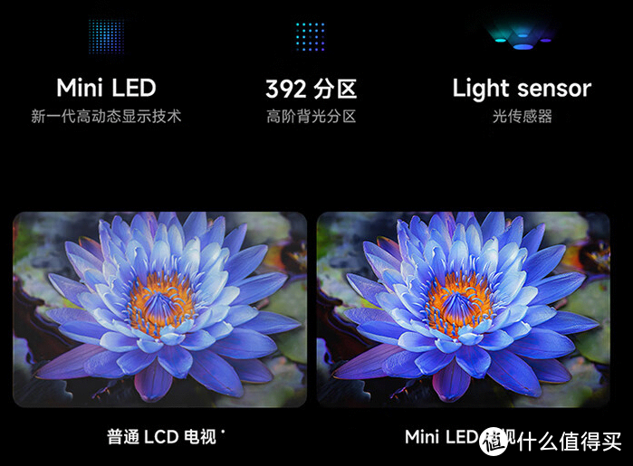 65寸入门级Mini LED都是哪家强？雷鸟鹤6 Pro 24款、小米电视S 65 Mini LED、海信65E5N PRO横向深度对比