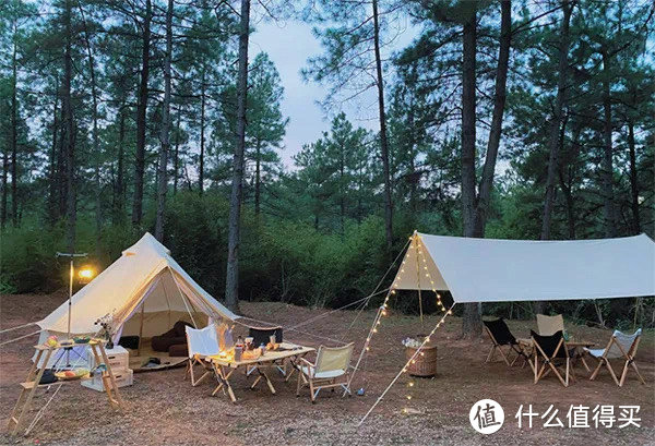 新手露营，选择帐篷还是天幕呢？