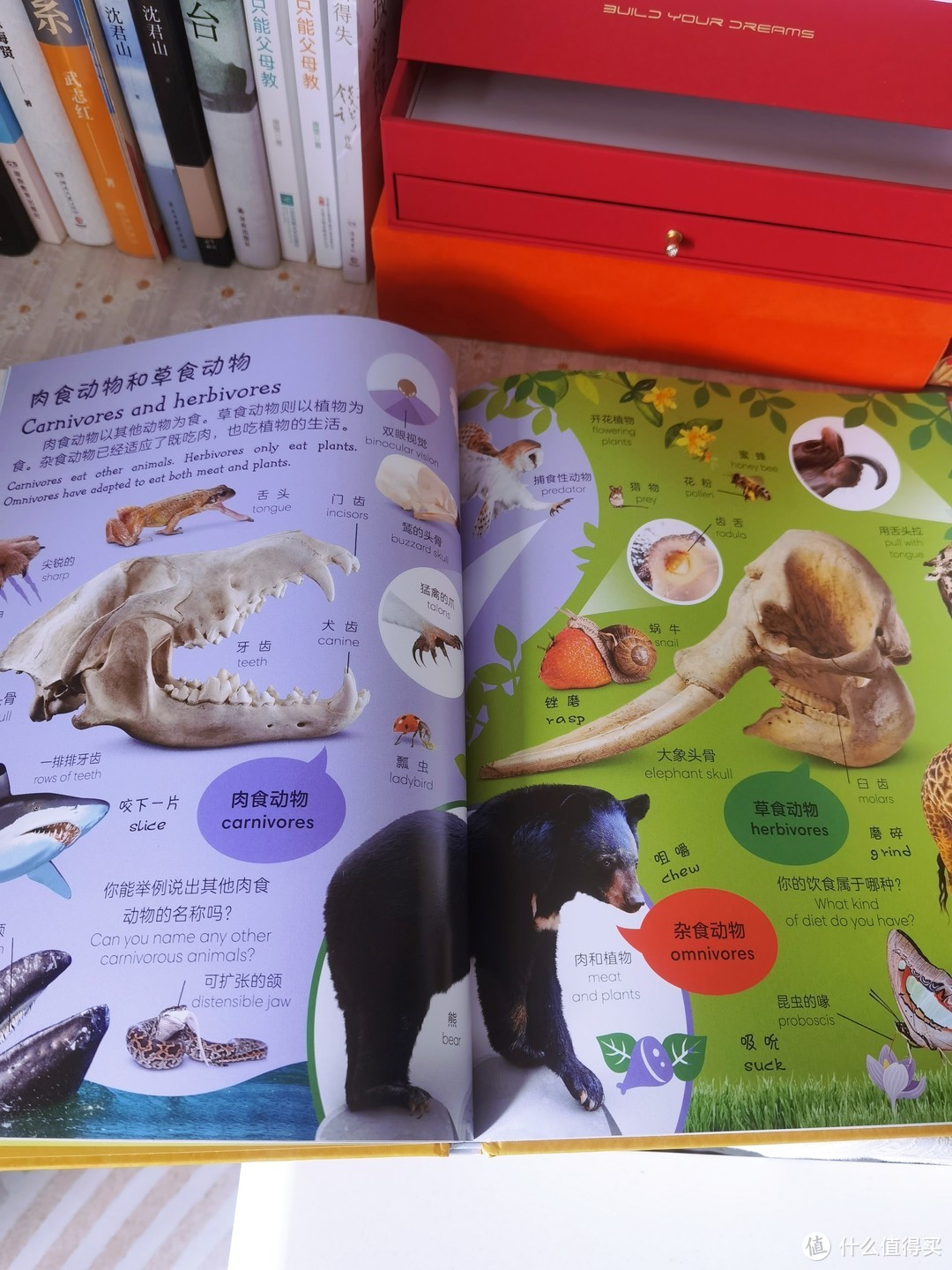 《DK动物双语词汇1000》：探索动物世界的双语之旅