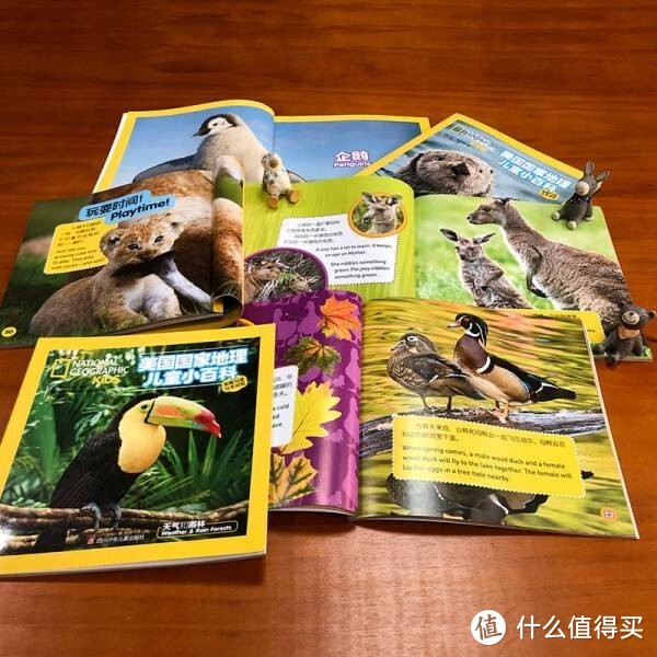 美国国家地理儿童小百科：中英文双语读物套装——开启知识探索之旅