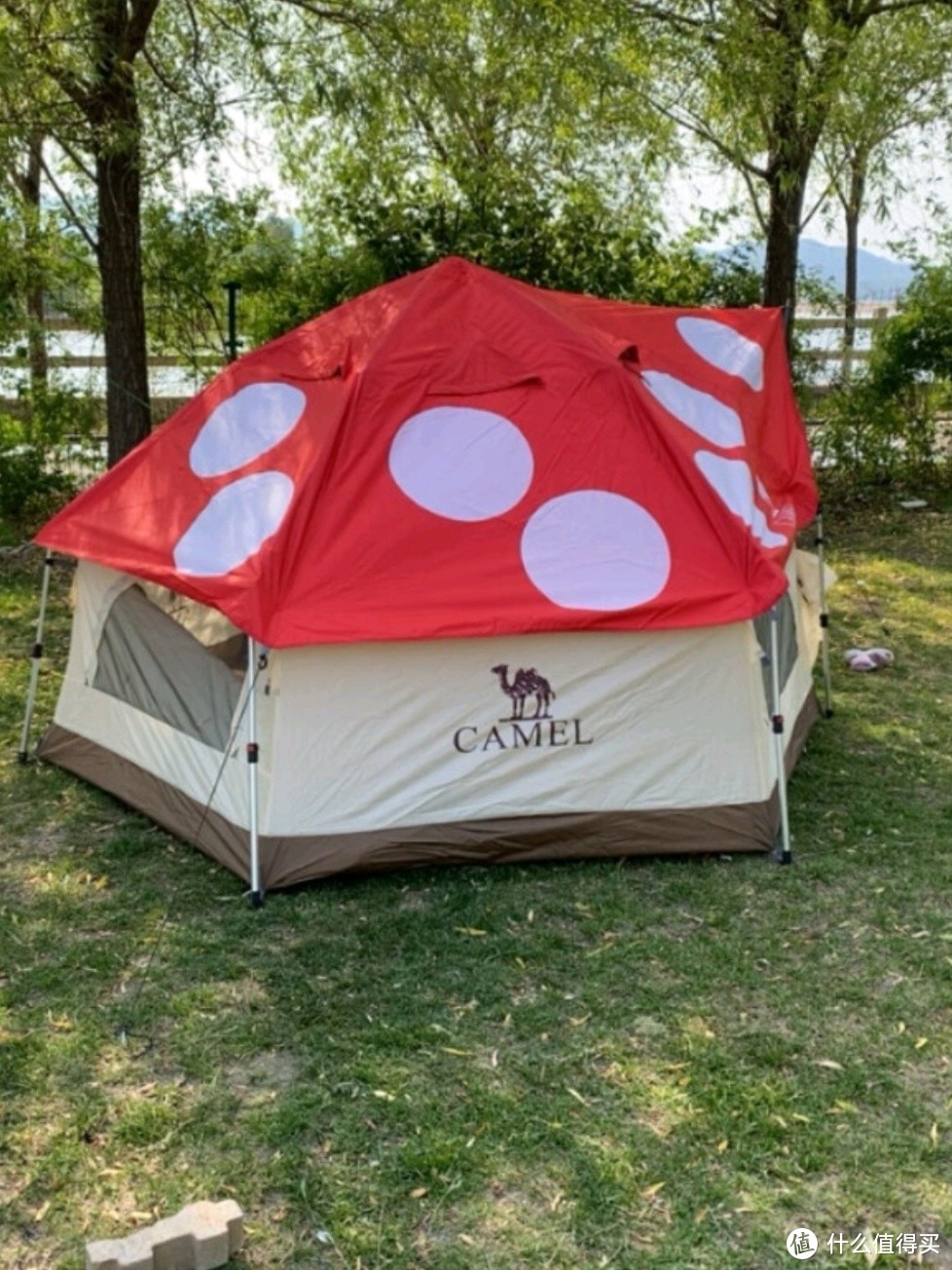 超级可爱的蘑菇帐篷。