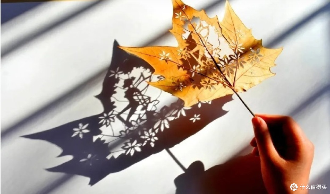 一片叶子也能雕出大作!用当当狸智能激光雕刻机L1,点亮每一个创意火花~