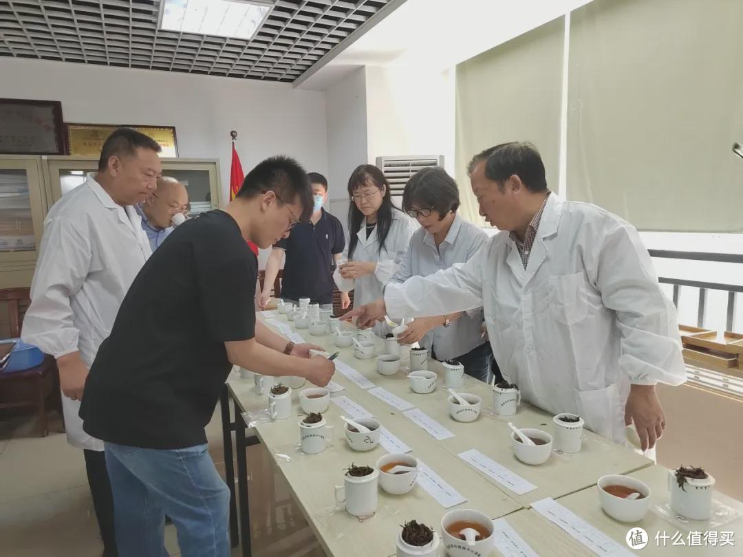 四川茶博会 最具影响力茶评选结果新鲜出炉，这几款茶一定要尝尝