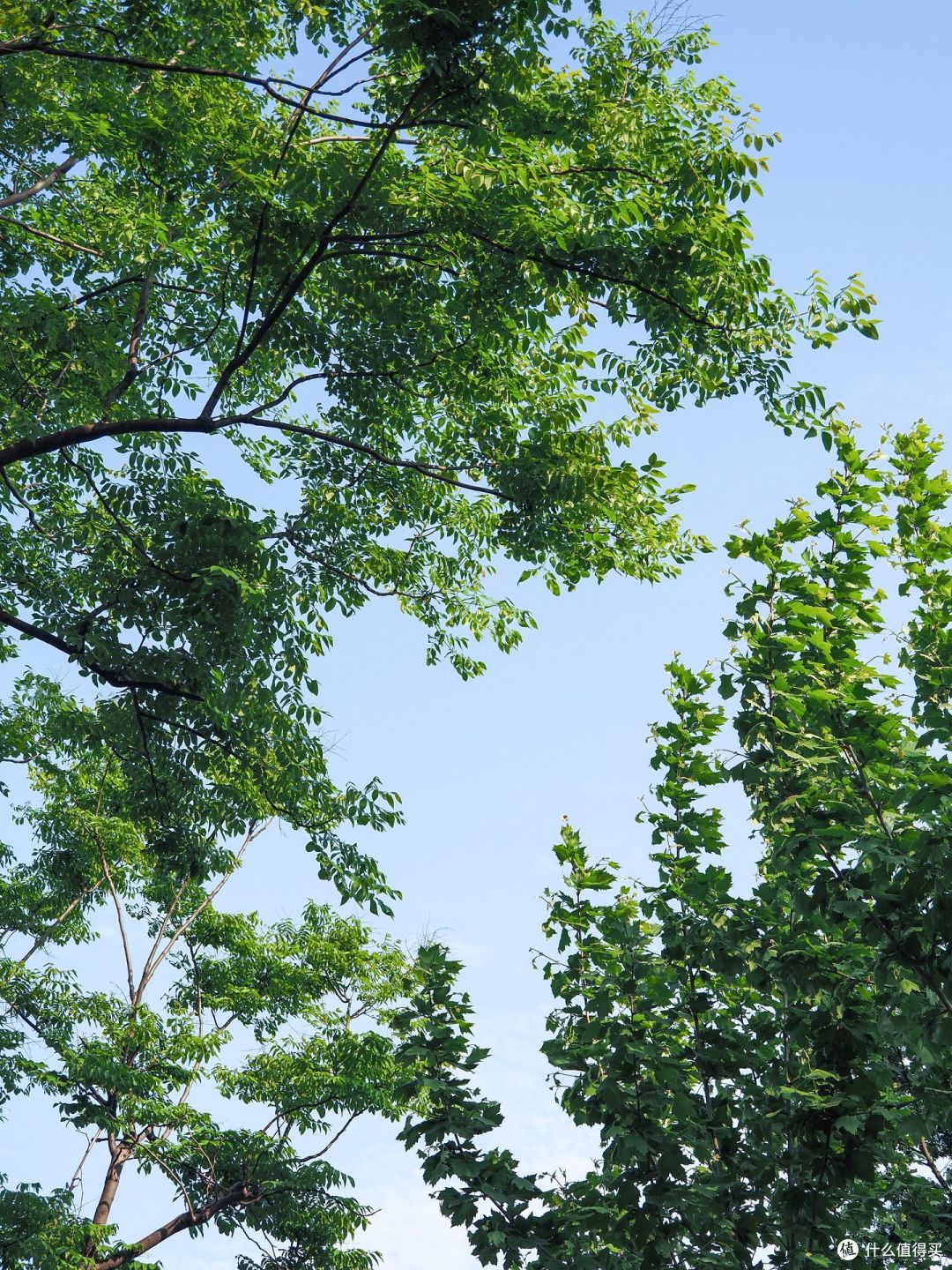 2024N年，M43相机还值得购买吗？奥林巴斯EM5-3使用近一年心得分享~