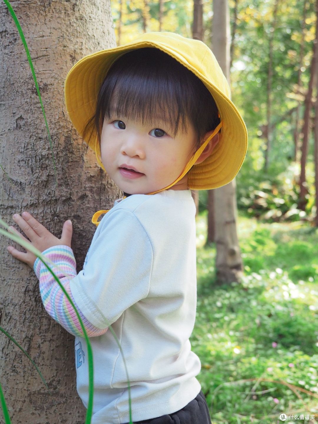 2024N年，M43相机还值得购买吗？奥林巴斯EM5-3使用近一年心得分享~