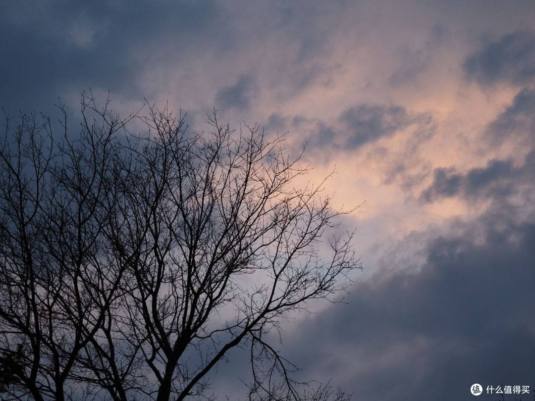 2024N年，M43相机还值得购买吗？奥林巴斯EM5-3使用近一年心得分享~