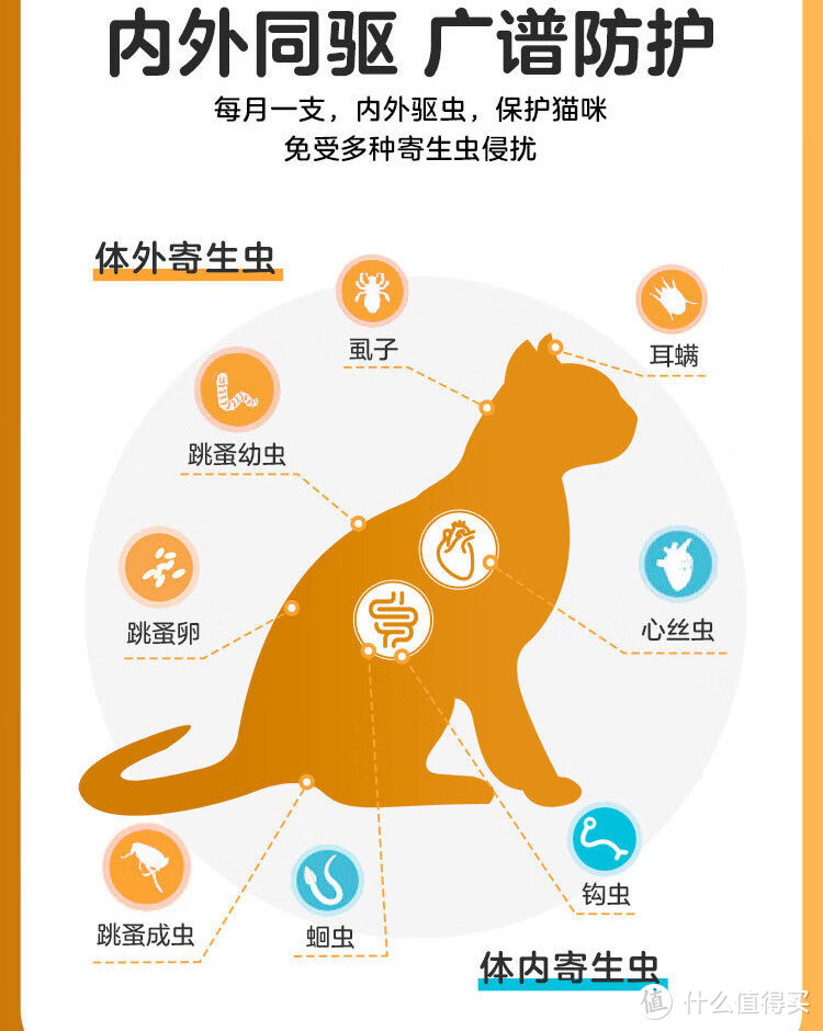 想让猫猫健康快乐的成长，你需要定期给它驱虫