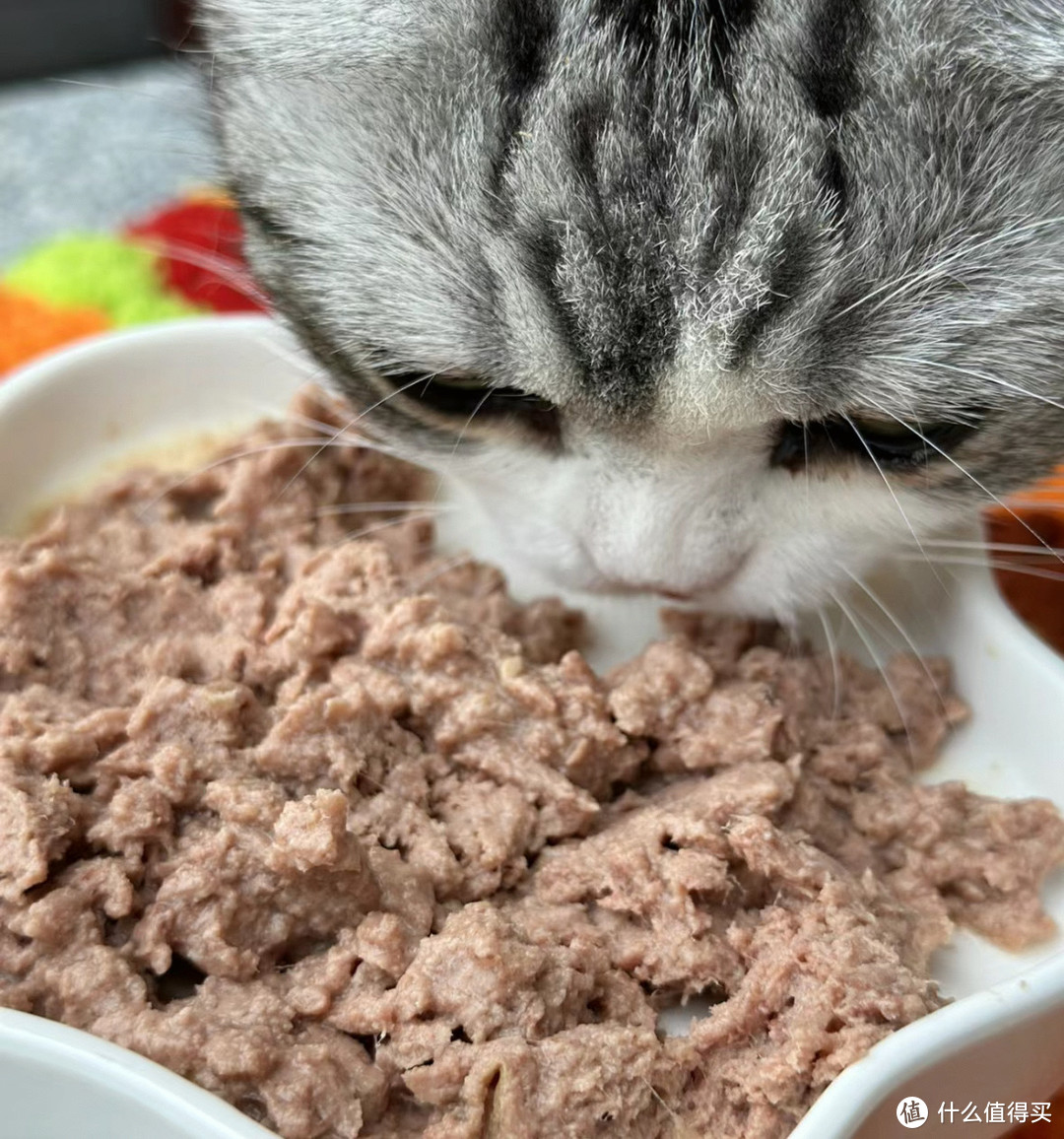 猫咪爱吃的主食罐头，肉量多多