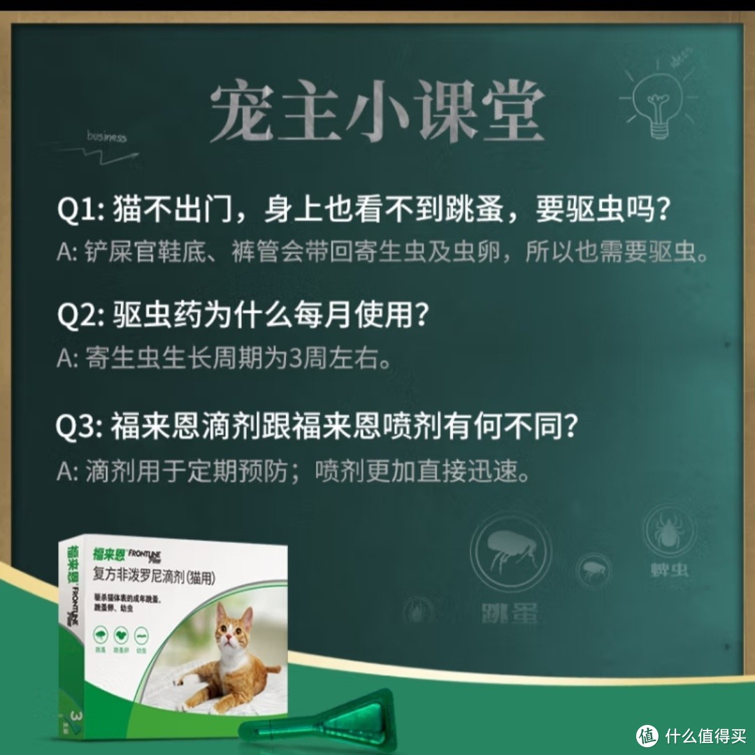 你知道吗？猫咪不出门并不代表他不会感染寄生虫