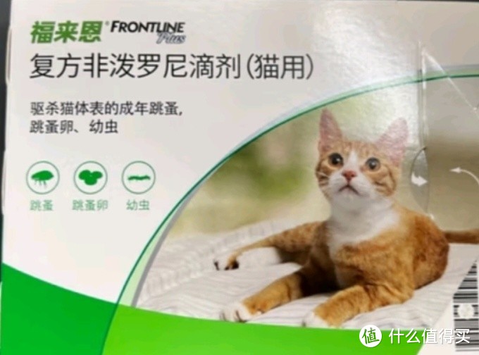 你知道吗？猫咪不出门并不代表他不会感染寄生虫