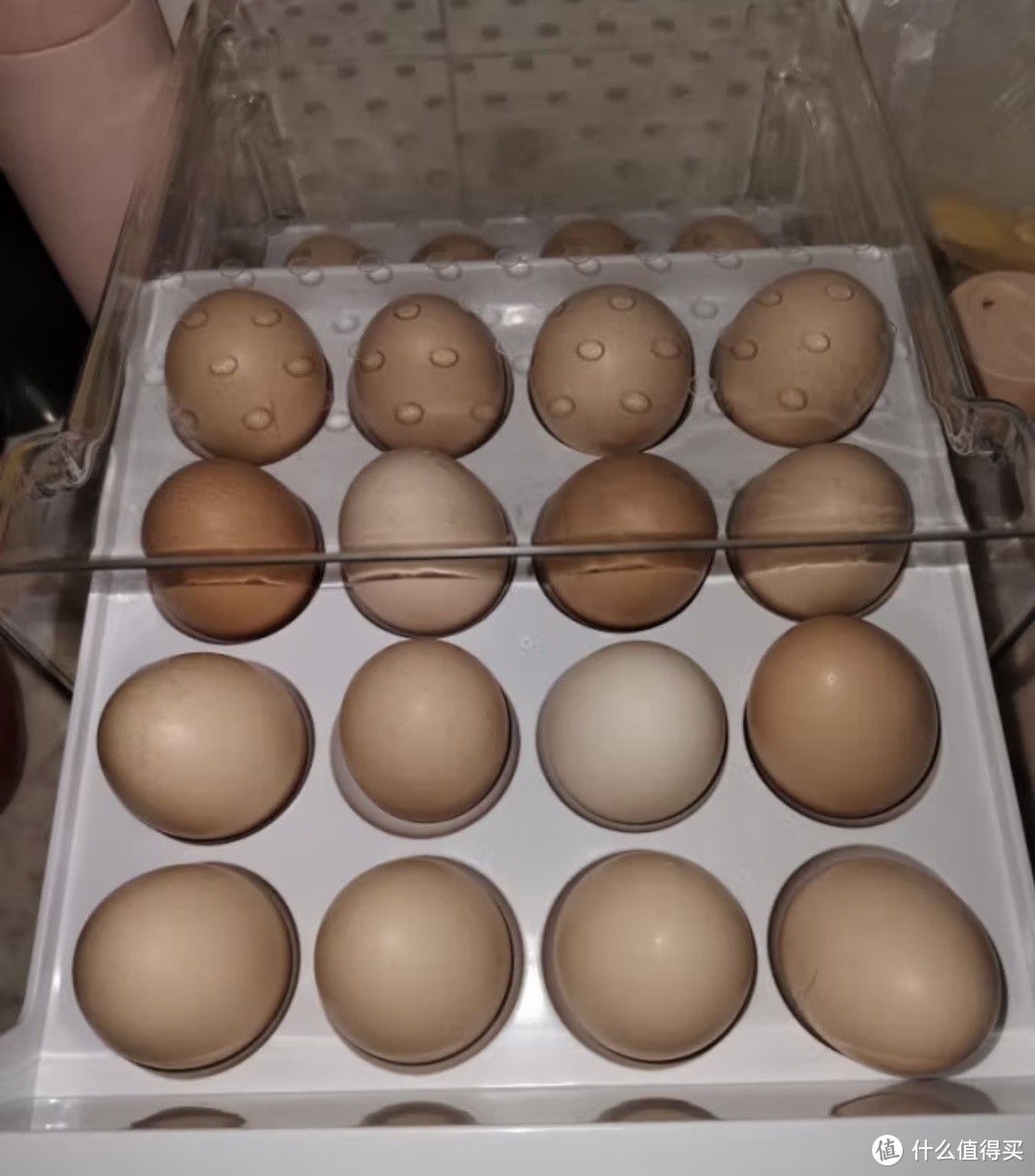 佳帮手鸡蛋盒，让鸡蛋排好队