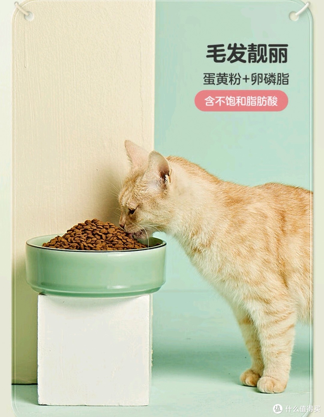 这款猫粮，让流浪猫也能吃得健康又快乐！