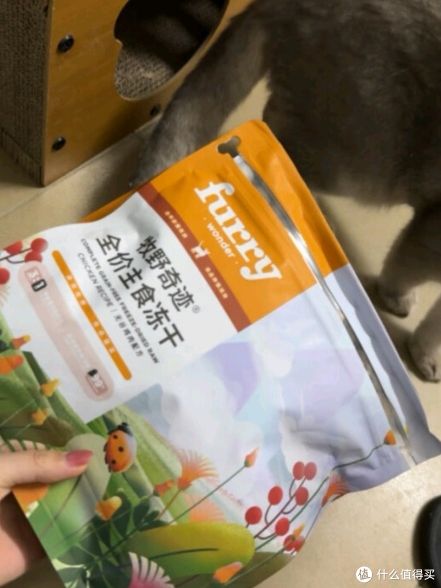 猫咪原生态的猫粮