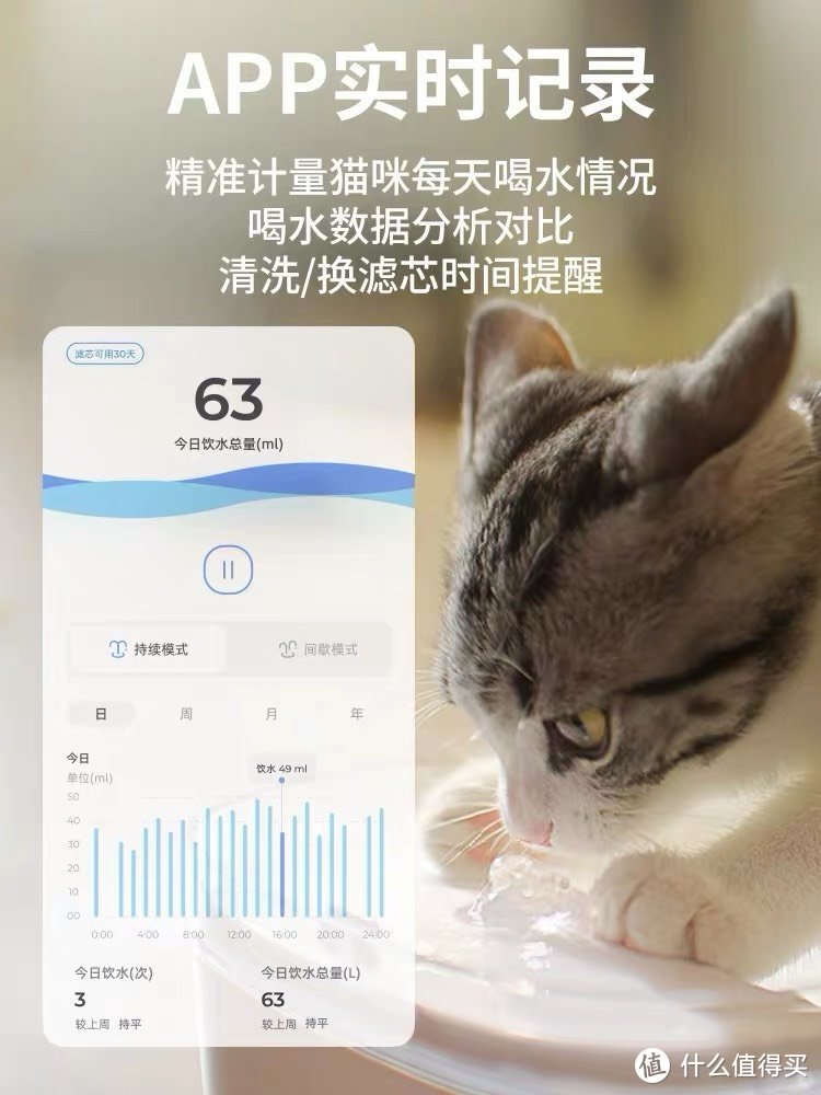 猫咪的饮水革命：一款智能饮水机的宠爱之旅