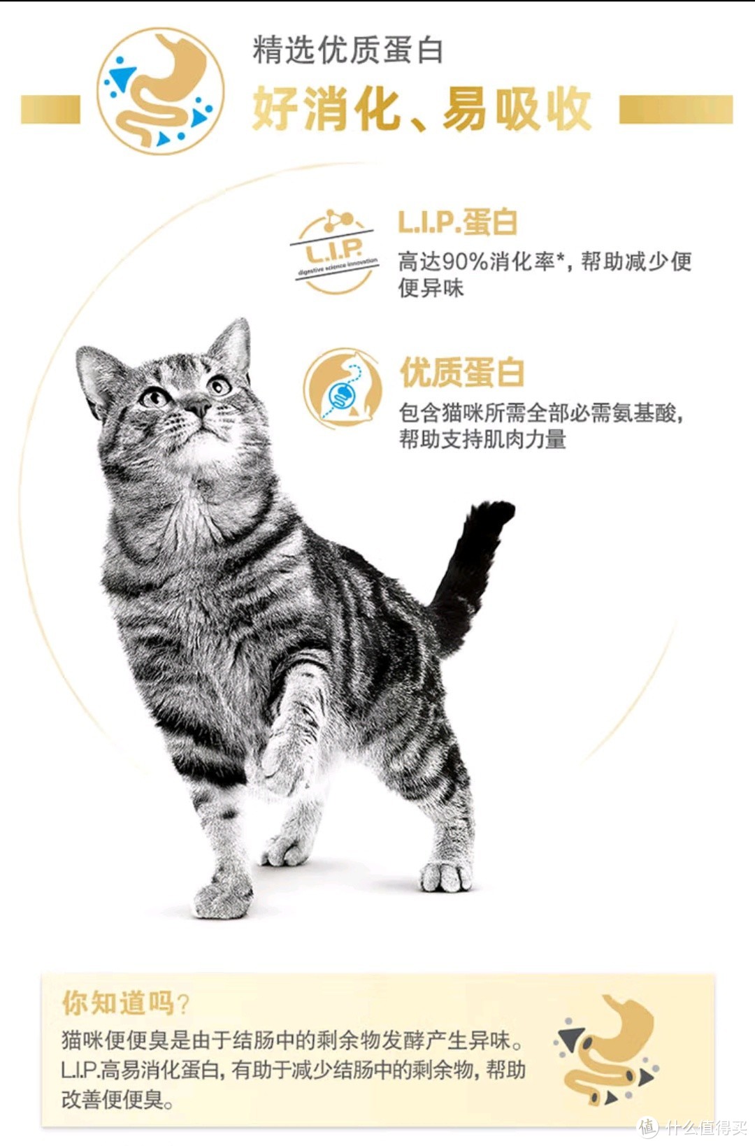 猫咪饮食全攻略：精选优质猫粮，守护喵星人的健康！