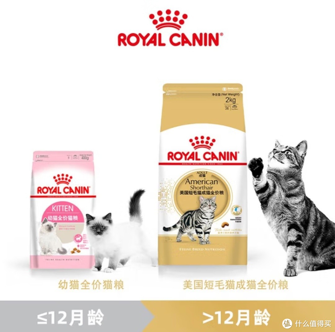 猫咪饮食全攻略：精选优质猫粮，守护喵星人的健康！