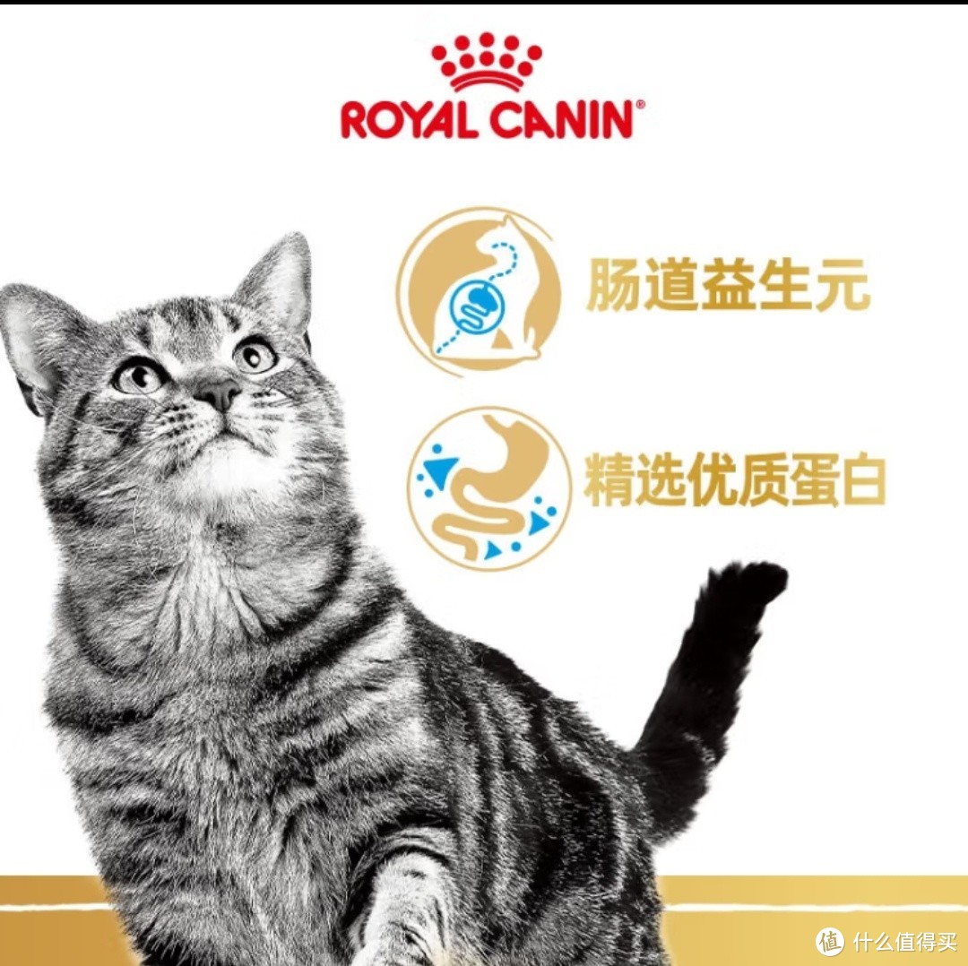 猫咪饮食全攻略：精选优质猫粮，守护喵星人的健康！