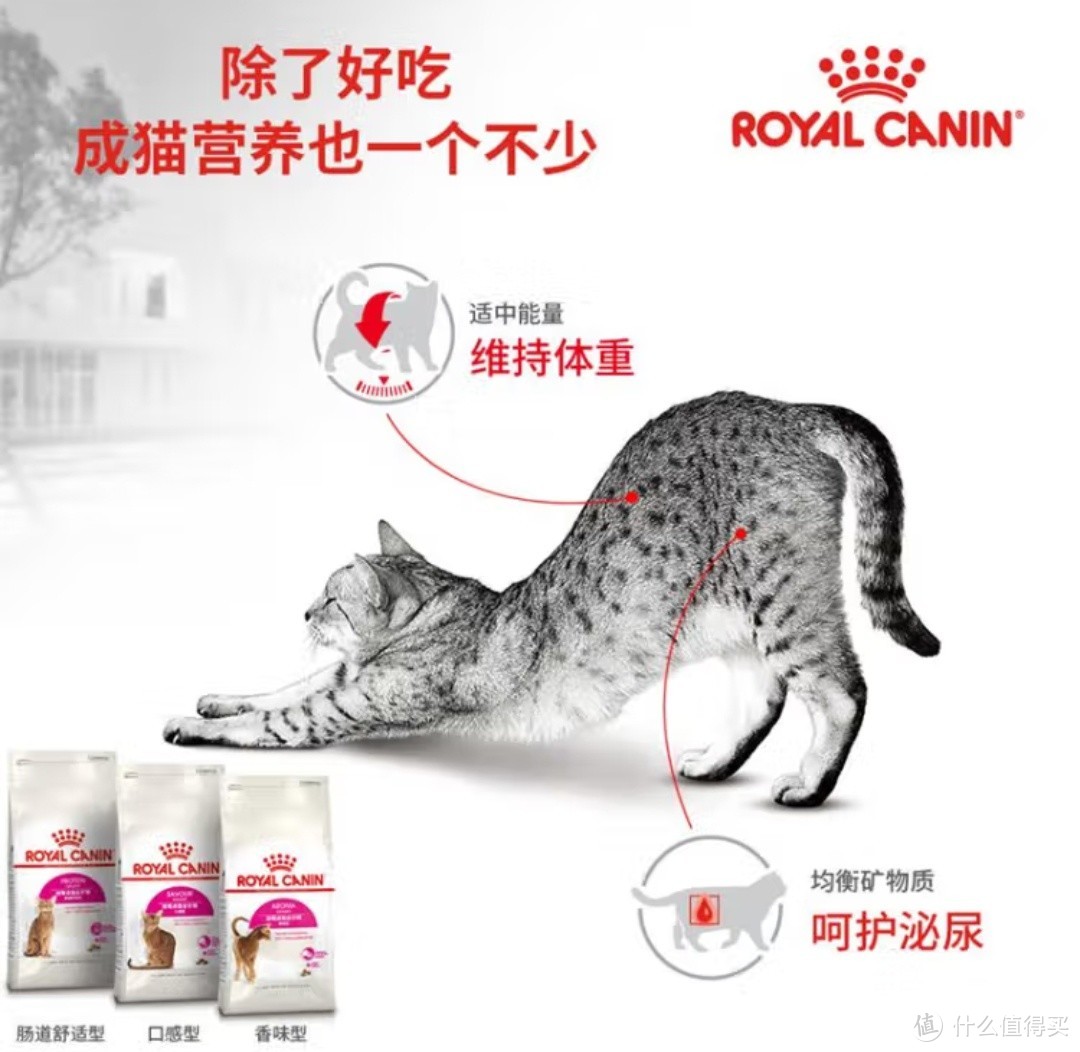 品质守护，宠爱无限——畅销大品牌猫粮精选推荐！