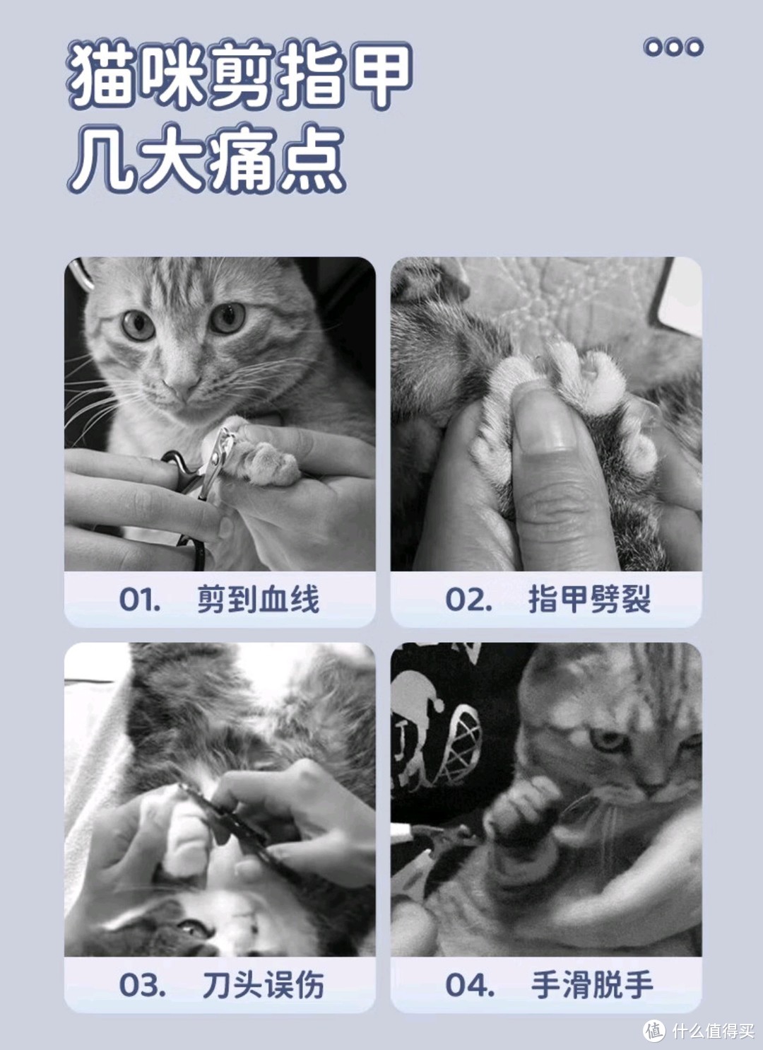 猫咪指甲护理的重要性，你知道吗？