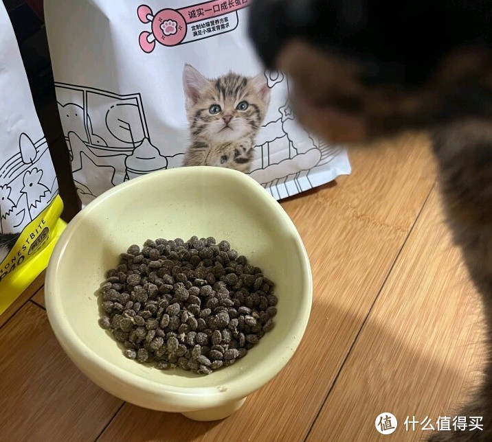 孕猫幼猫专属粮，让爱宠更健康！