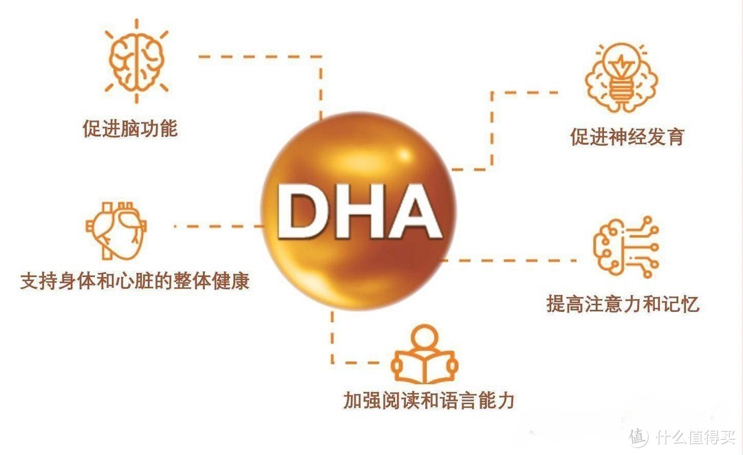哪些人需要补充DHA？看这一篇就够了！