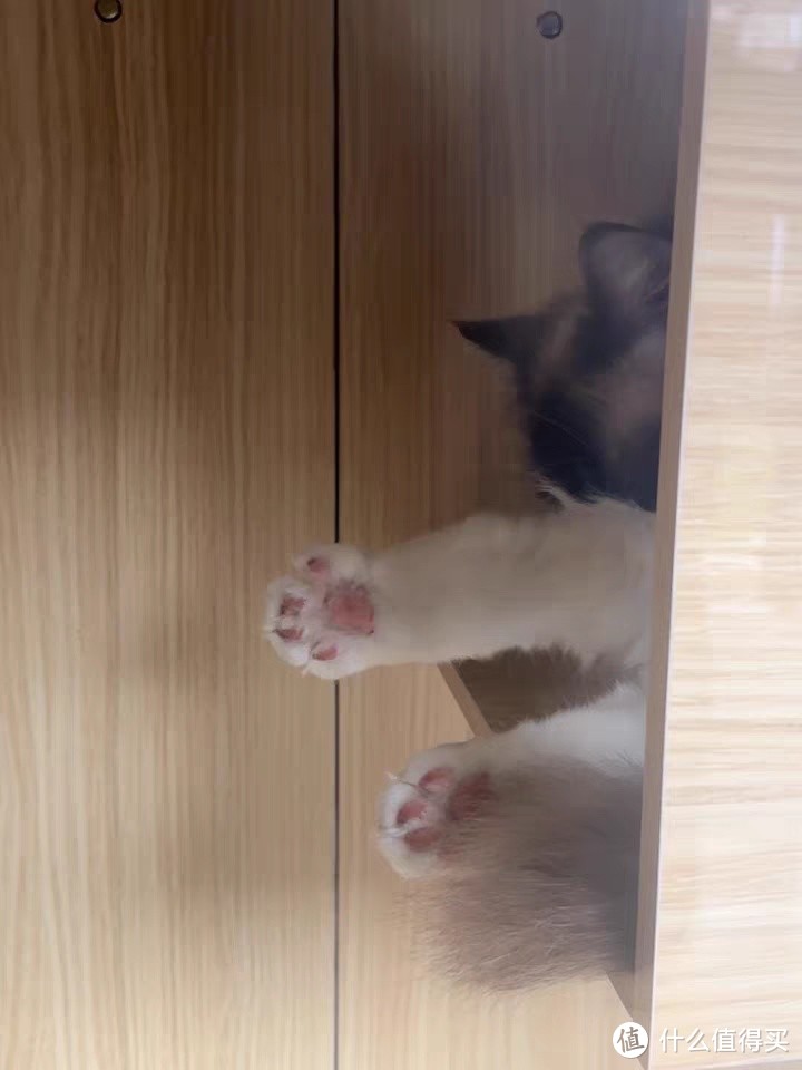 猫别墅猫笼子家用室内猫窝猫屋超大自由空间猫咪房子实木猫舍猫柜