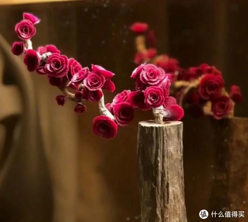 山东一29岁姑娘，因为“小球玫瑰太美”而走红，治愈又浪漫，爱了
