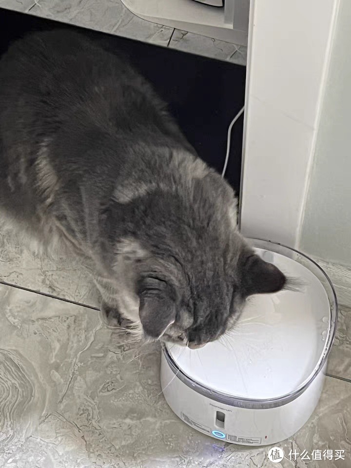 霍曼三代饮水机猫咪喝水器无线水泵自动循环静音滤芯宠物狗狗喂水