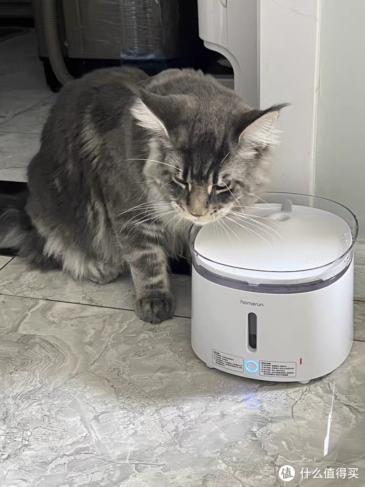 霍曼三代饮水机猫咪喝水器无线水泵自动循环静音滤芯宠物狗狗喂水