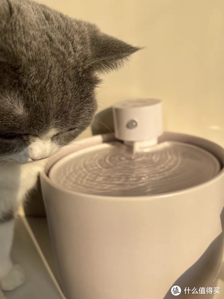 喵享家第五代宠物自动陶瓷猫咪饮水机恒温流动水不插电无线饮水机