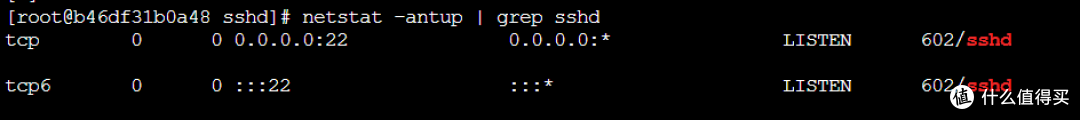 CentOS在极空间Z2pro上的完美运行,Docker技术大揭秘!