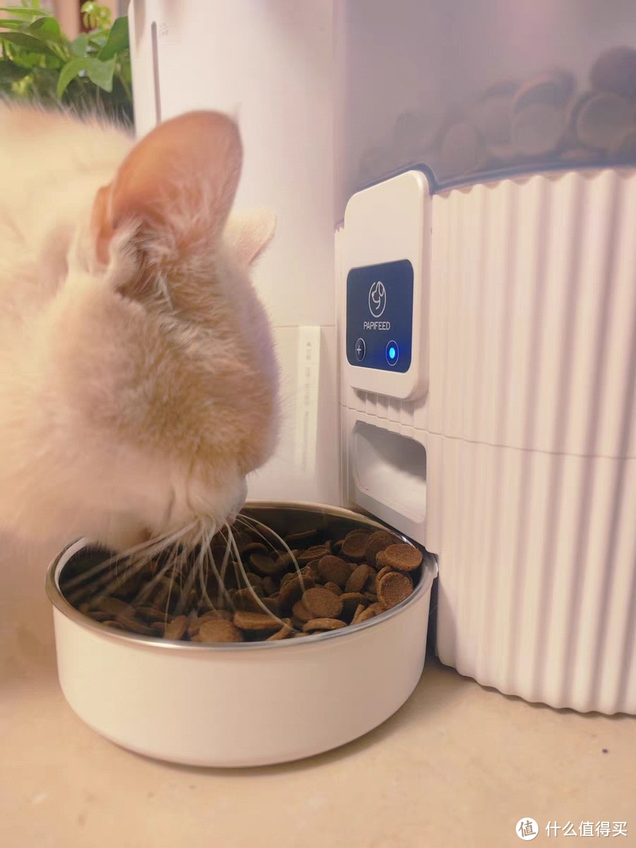 PAPIFEED猫狗智能喂食器猫咪宠物自动定时定量猫粮狗粮自助投食机