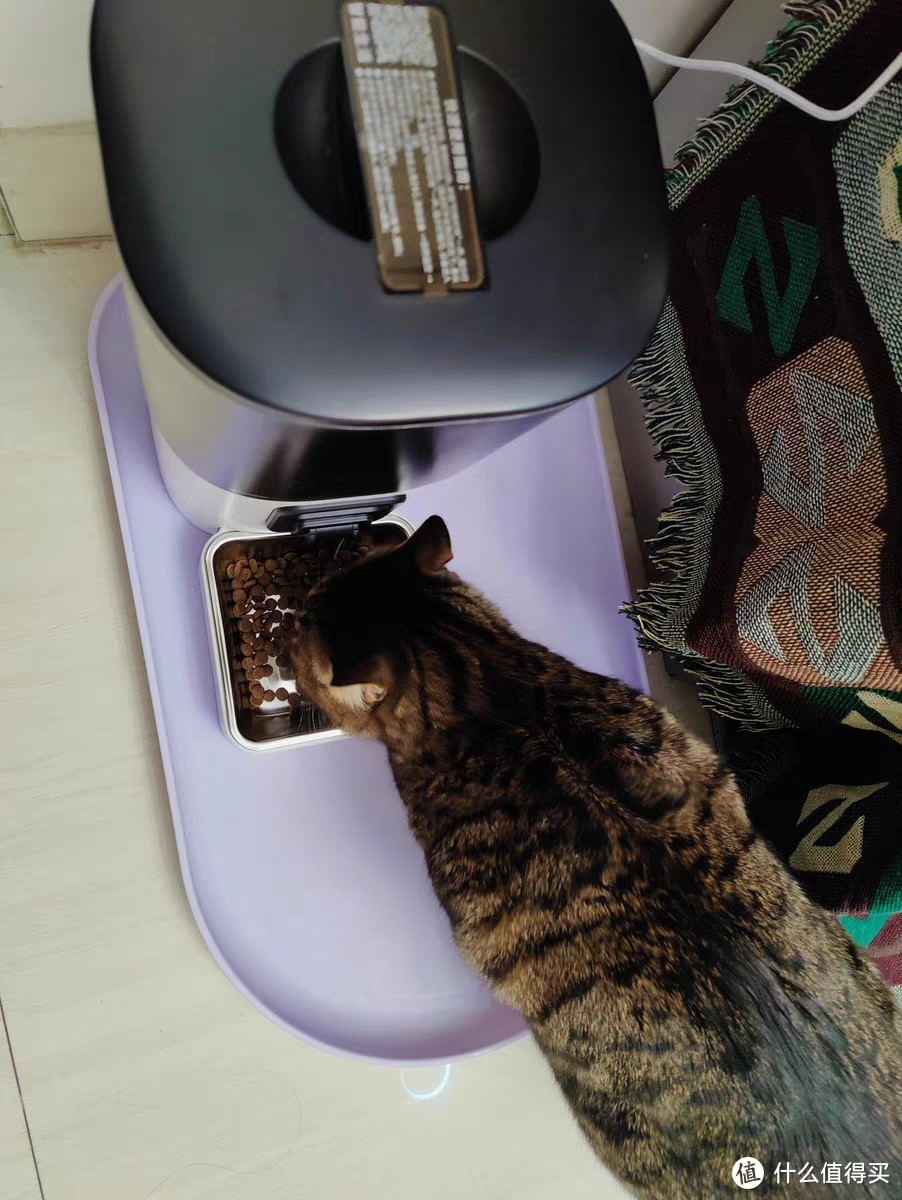 猫狗自动喂食器猫咪宠物智能定时定量投喂器猫粮狗粮喂食机可视频