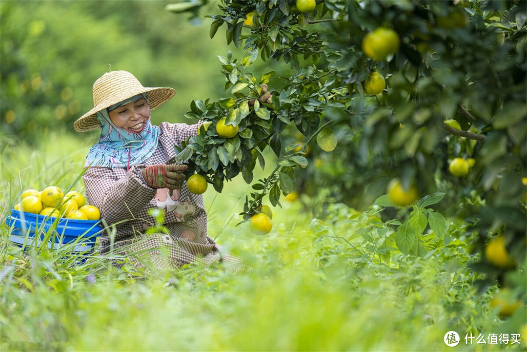 中国的3个“长寿之乡”，退休养老先去看看，环境好，吃的健康
