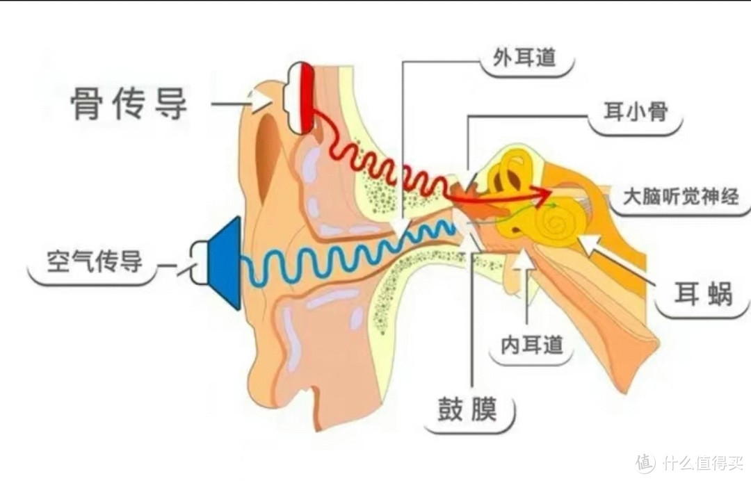 骨传导耳机如何平衡音质和舒适性？不接触耳洞对耳朵的养护有多重要？