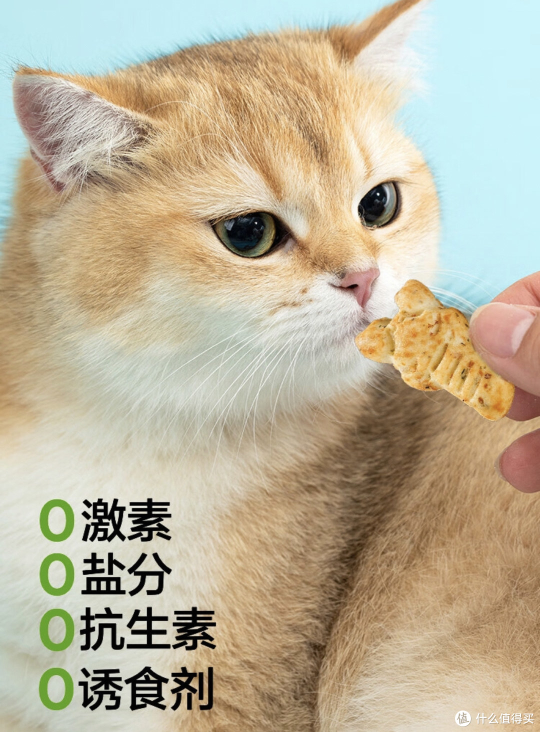 猫薄荷饼干，让猫咪告别挑食烦恼！