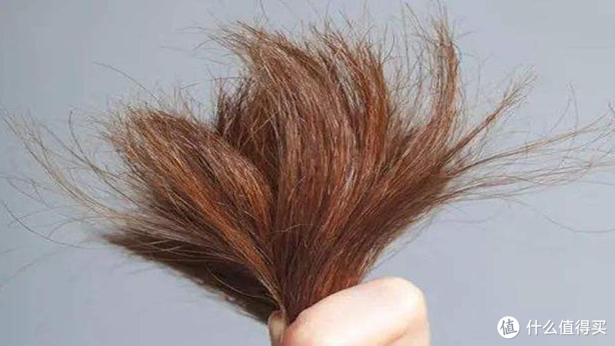 头发分叉是什么原因造成的？11大护发禁忌害处务必警惕