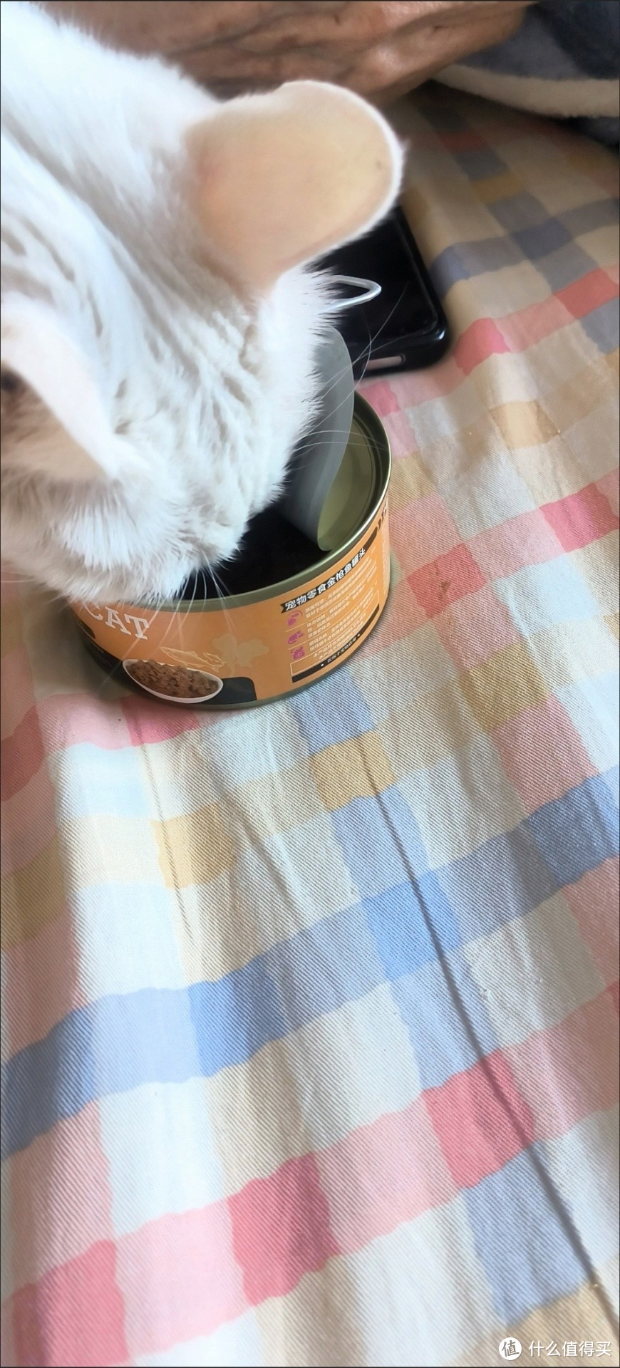 喵爪握手，我家猫咪爱吃的罐头