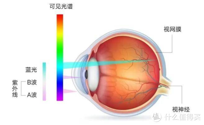 护眼灯有没有护眼的效果？六大技巧教你选到护眼效果好的护眼台灯