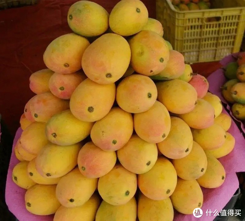 常见芒果有哪些品种？怎么挑才好吃又甜